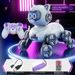 Interactive 8-Wheel Stunt RC Transforming Robot Cat With Remote Control – 360° Rotation, Music & LED Lights_voghion.com