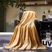 Thickened Solid Farley Coral Veet Pet Flannel Blanket, Plain Color Children's Blanket_voghion.com