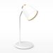LED desk lamp USB power eye protection reading book light touch stepless dimming modern decorative table lamp three-color switch_voghion.com