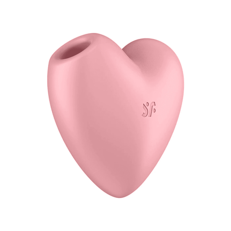 Satisfyer Pro 2 Vibrator Clitoral Orgasm G-Spot Massager Rechargeable_voghion.com