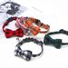 New Pet Lucky Cat Bell Cute Teddy Dog Collar Small And Medium Puppy Leash_voghion.com