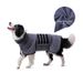Quick Drying Pet Bathrobe, Ultra-fine Fiber Absorbent Dog Towel Clothes, Medium-sized Dog Bathrobe_voghion.com
