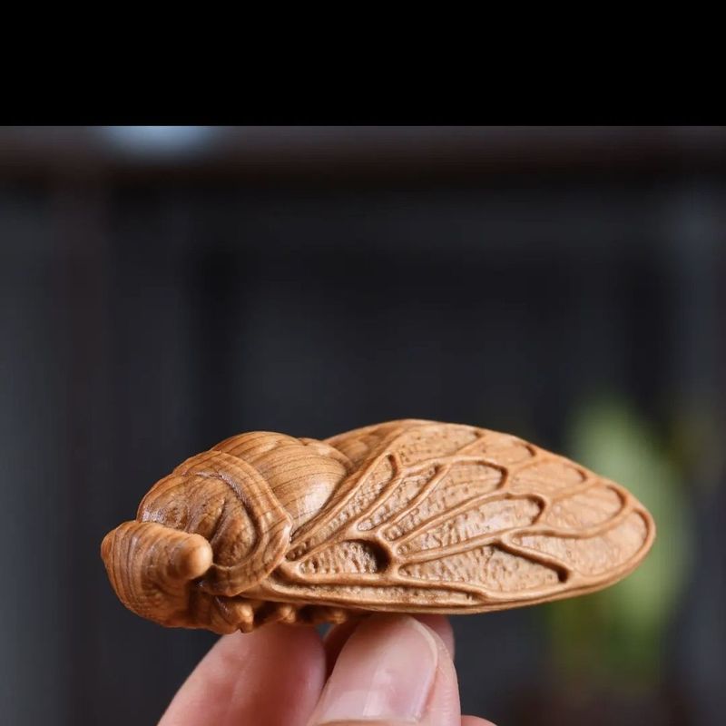Hand-Carved Cliff Cypress Wood One Shines Bright Handheld Cicada Summer Insect Cultural Play Piece For Men And Women_voghion.com