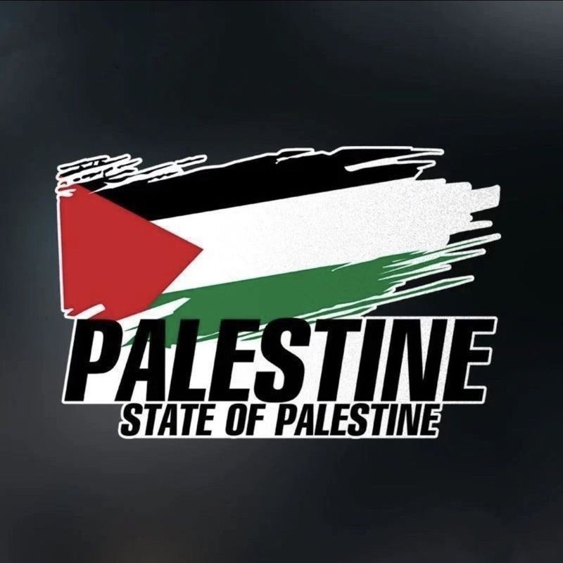 World Peace Sign Badge Palestine Flag Reflective Car Electric Motorcycle Sticker_voghion.com