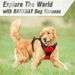No-Pull Harness, Dog Harnesses, Super Strong Reflective Handle With Easy Control For Walking Large Medium Dogs, Pet By PawParty Store_voghion.com