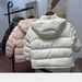Children's Down Jacket Thickened Detachable Hooded 2024 Winter New White Duck Down Boys And Girls Short Coat For Middle And Large Children_voghion.com
