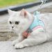 Pet Harness Small Vest Style Dog Leash Walking Rope Cat Supplies Breathable Reflective_voghion.com