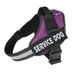 SERVICE DOG Pet Medium And Large Harness Dog Supplies Leash Direct_voghion.com