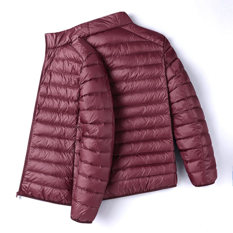Men's Slim-Fit Lightweight Down Jacket With 90% White Duck Down, Stand Collar Short Coat For Windproof Warmth In Versatile Colors_voghion.com