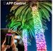 66-light 33ft. Outdoor USB Or Battery Operated Integrated LED Fairy String Light-App Control Music Sync Twinkle Light_voghion.com