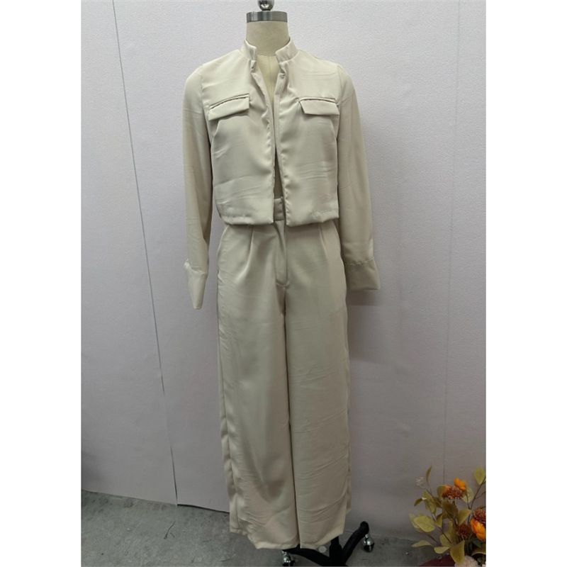 Damenbekleidung Temperament Kurzer Anzug Vielseitige Hose Zweiteiliger Anzug_voghion.com