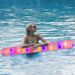 LED Glow Swimming Float Stick - Inflatable Buoyancy Pool Toy For Adults (Pearlescent Finish Water Play & Night Swim Safety)_voghion.com