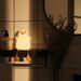LED Night Lamp Cute Duck Cartoon Silicone Sleeping light USB Rechargeable Touch Sensor Timing Bedroom Bedside Lamp For Kid Gift_voghion.com