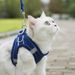 Pet Harness Small Vest Style Dog Leash Walking Rope Cat Supplies Breathable Reflective_voghion.com