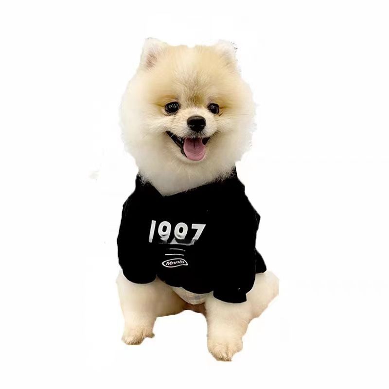 Pet Teddy Small Dog Autumn Winter Trendy Brand Cat Clothes_voghion.com