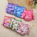New Style Lady Pet Clothes Colorful Physiological Skirt Menstrual Safety Pants Sanitary Anti-Harassment Heat Diapers_voghion.com