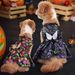 2024 Nuovo Halloween Pet Dog Clothes Zucca Pipistrello Ali Luminose Vestito_voghion.com