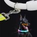 D Buckle USB Rechargeable Dog LED Night Safety Light Pet Collar Glowing Flashing Necklace Anti-Lost Leash By PawParty Store_voghion.com