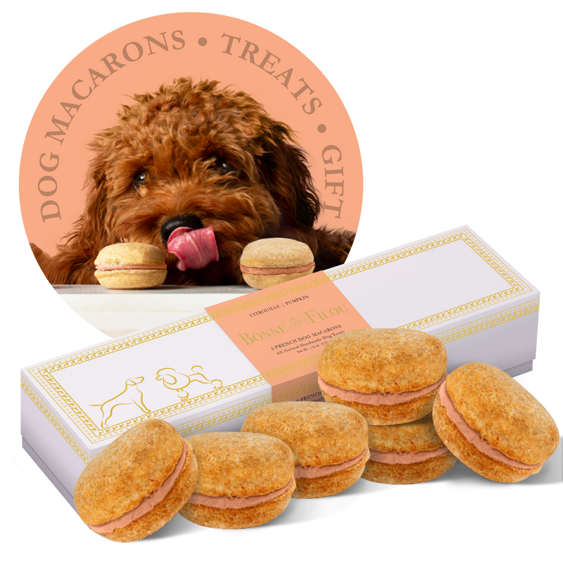 Dog Macarons - Count of 6 (Dog Treats | Dog Gifts)_voghion.com