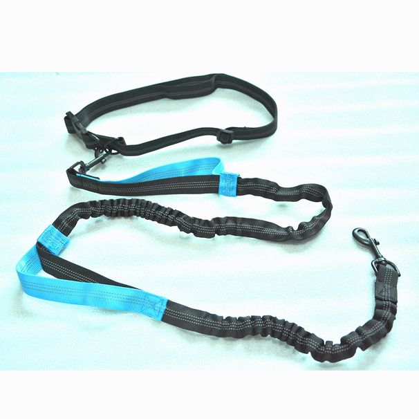 Double Elastic Reflective Running Portable Retractable Dog Chain Leash Pet Supplies_voghion.com
