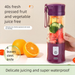 Rechargeable Mini Portable Home Outdoor Electric Multifunctional Juicer_voghion.com