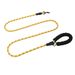 Outdoor Walking Pet Anti-Lost P Rope Explosion-Proof Large Contrast Color Dog Leash_voghion.com