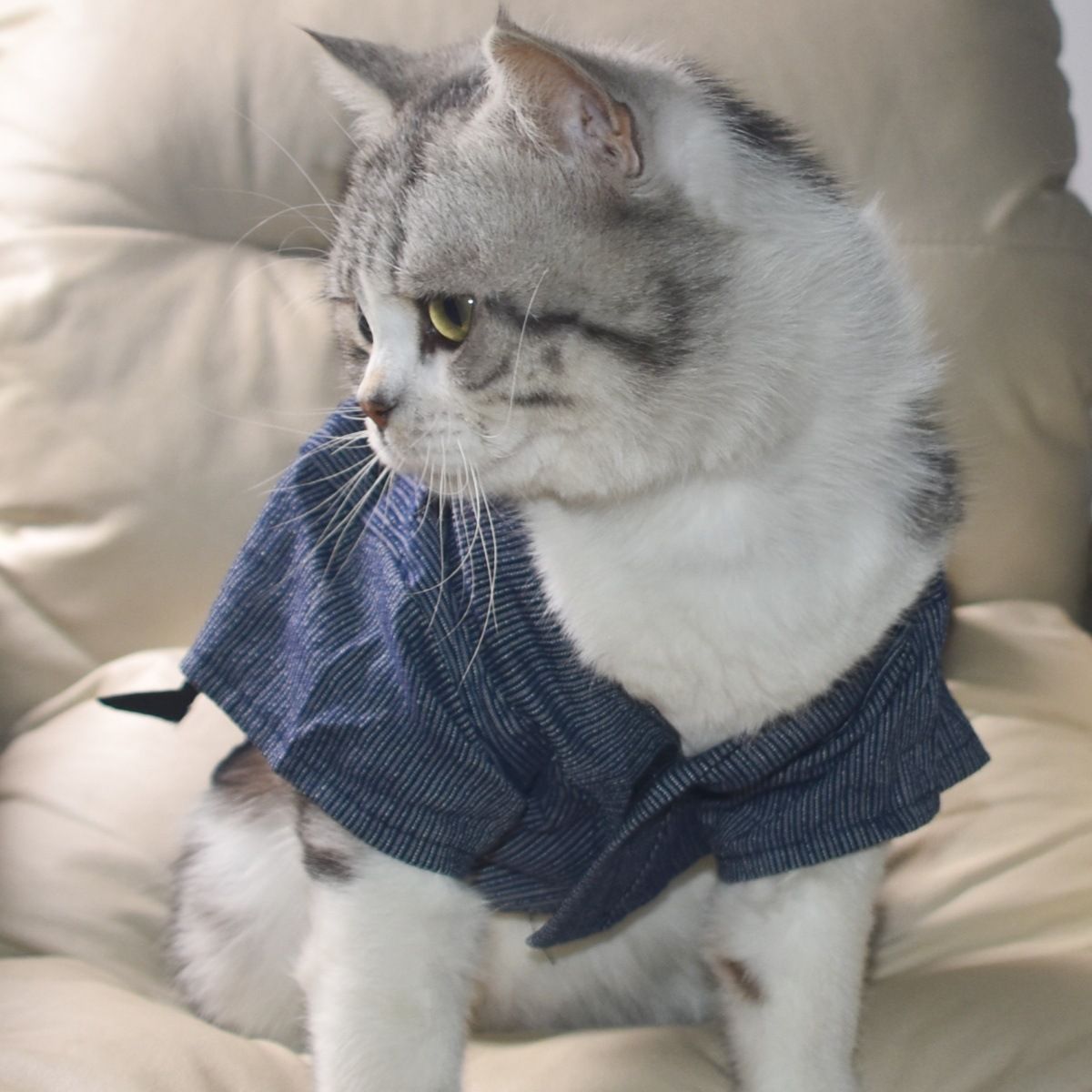 Pet Spring Thin Style Dog Cat Clothes Japanese Yukata Summer Festival Kimono_voghion.com