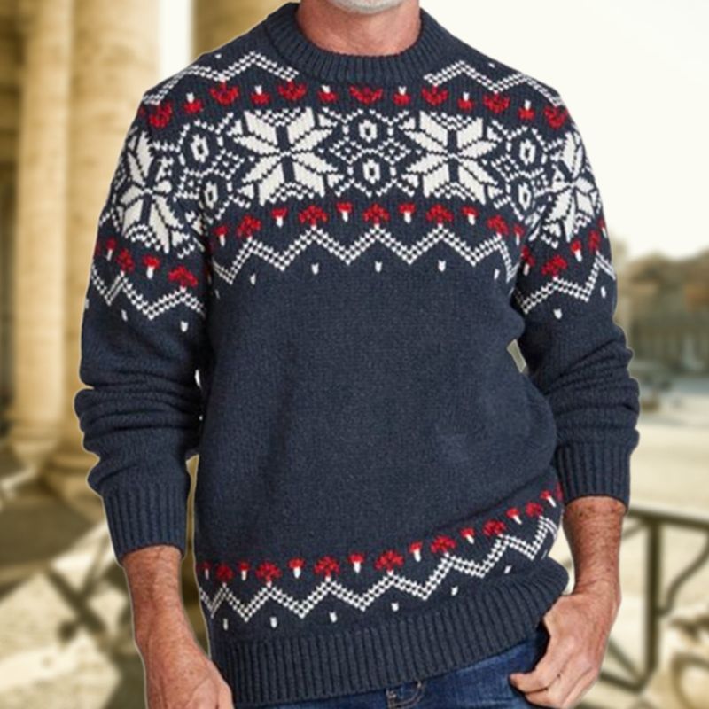 Nuovo maglione girocollo in maglia a maniche lunghe da uomo in autunno e inverno SY0133_voghion.com