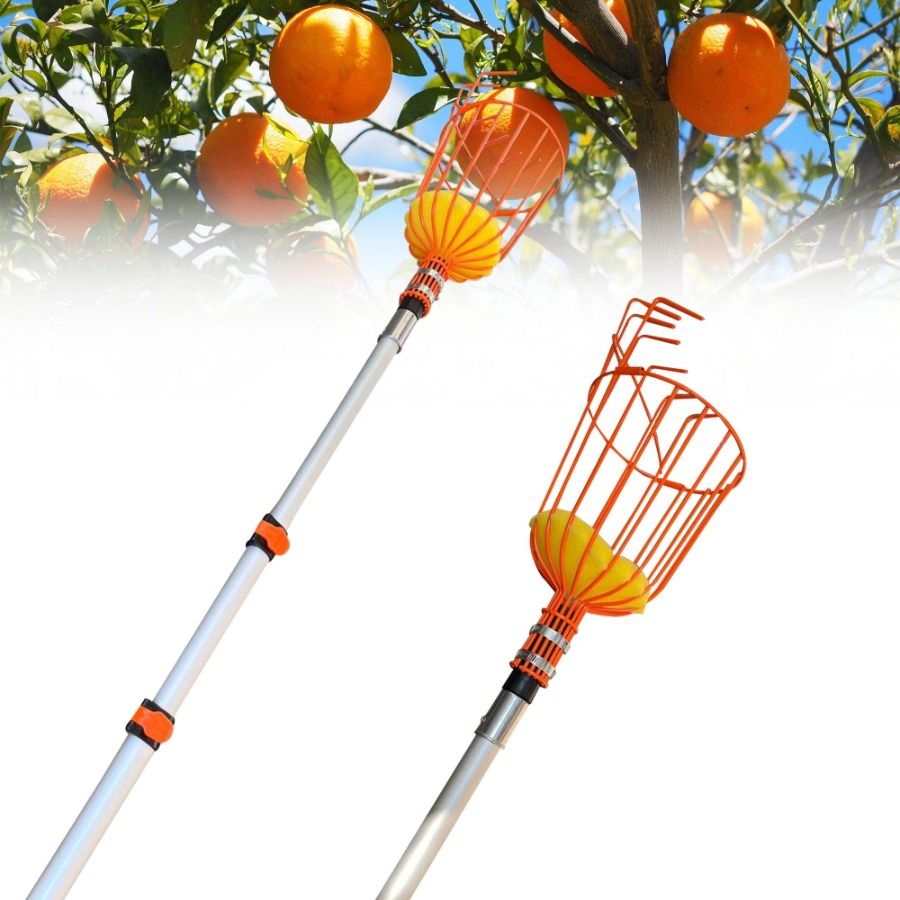 12 FT Picker With Telescoping Extension Pole Reach Aluminium Telescoping Pole Telescopic Fruit Tree Picker Tool For Picking Ora_voghion.com