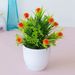 Simulation plant potted green plants Home decoration ornaments 17-mesh star round fruit Mini desktop simulation flower bonsai_voghion.com