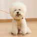 Trendy Cute Vest Style Small Teddy Bichon Puppy Chest Harness Dog Rope Leash_voghion.com