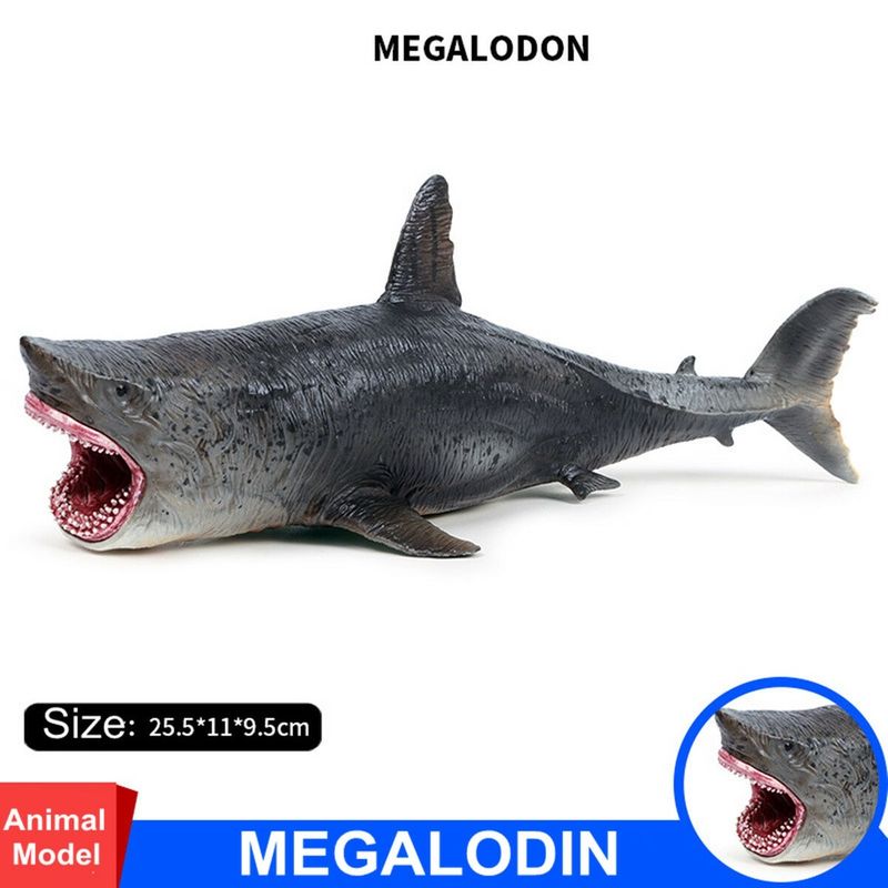 Premium Megalodon Figure Ancient Shark Wild Animal Pvc Model Collectors For Toy_voghion.com
