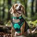Collare riflettente per cani Joytale, collare in morbido neoprene imbottito, traspirante, regolabile, per cani di grossa taglia, verde acqua, L_voghion.com