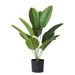 Simulering bonsai grønne planter Rejsende bananparadisfugl Nordisk bananblad grønne planter havedekoration buket landskabspleje træ_voghion.com