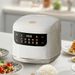 110V Mini Electric Rice Cooker 1-3 People 2L Multi Cooker Non-Stick Pot Smart Mechanical MultiCooker Steamed Rice Pot For Home_voghion.com
