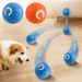 Interactive Ball For Dogs By PawParty Store_voghion.com