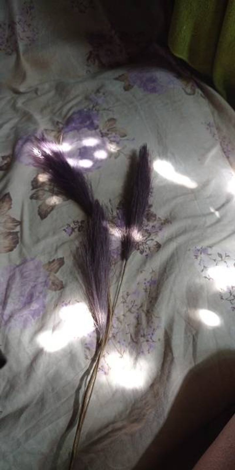 Reed Pampas INS flori artificiale flori false și plante verzi decorațiuni transfrontaliere de nuntă cu ridicata MW85502_voghion.com