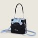 Secchio d'acqua con fiocco di alta qualità estivo per donna 2024 borsa a tracolla leggera di lusso dal design di nicchia da donna_voghion.com