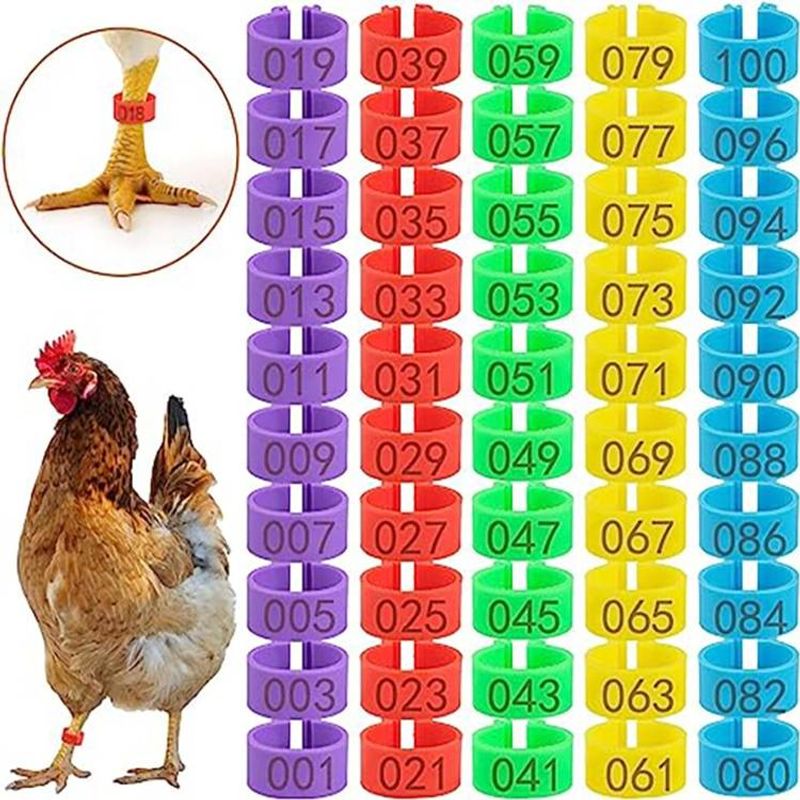 Bagues pour pattes d'animaux numérotées pour canards, poussins, pigeons et oies_voghion.com