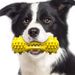 Supplies New Sounding Chew Stick Bone Toothbrush Dog Stress Relief Pet Toy_voghion.com