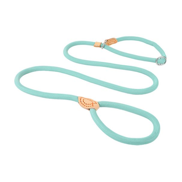 Anti-Escape Explosion-Proof Integrated Plain Leash Non-Pinch Walking Rope Large Dog P Chain_voghion.com