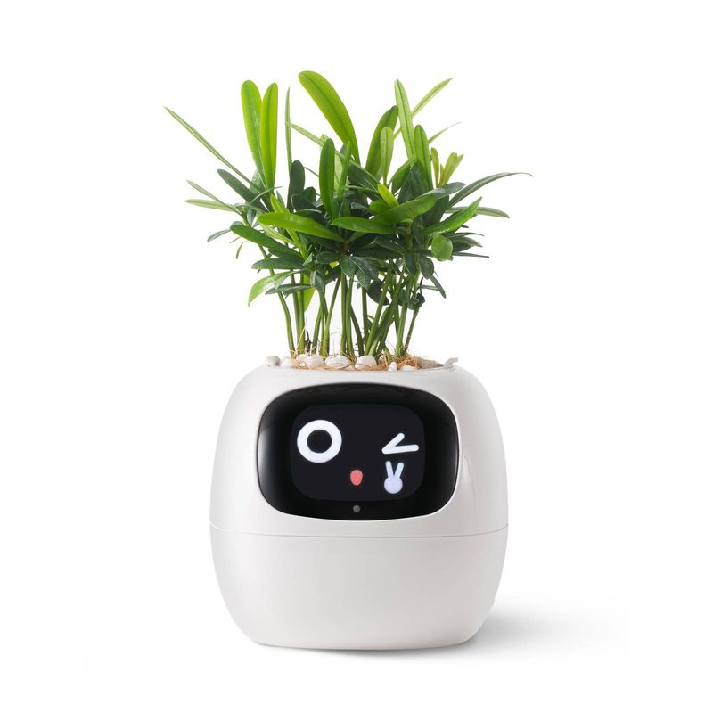 Intelligent Plant Buddy: cura delle piante senza sforzo_voghion.com