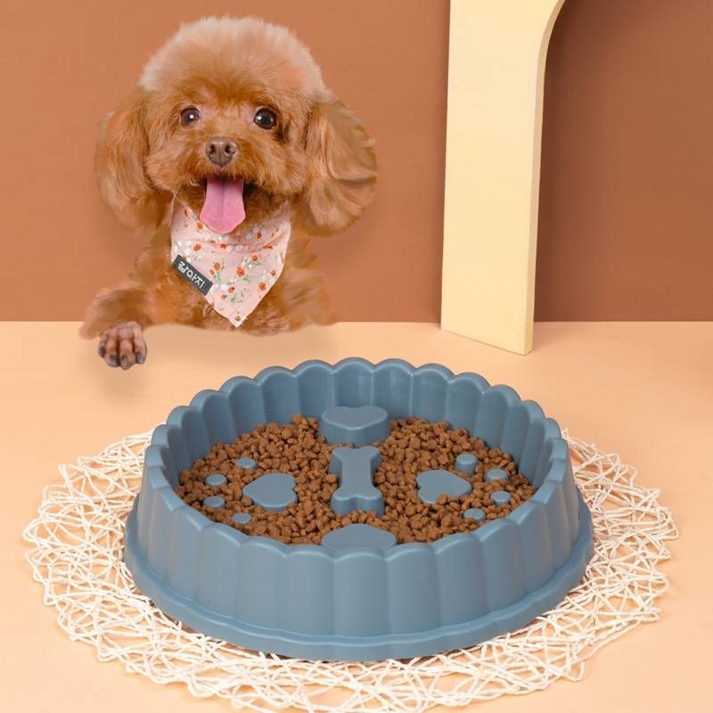 Anti Choking Dog Bowl Cat Dog Food Bowl_voghion.com