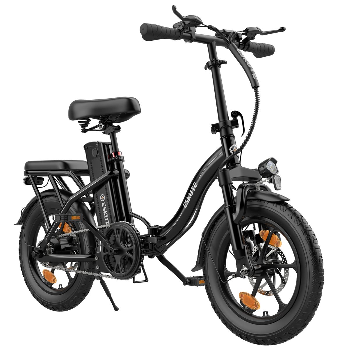 ESKUTE D100 Folding Electric Bike 16Inch With Detachable 36V 13Ah Battery_voghion.com