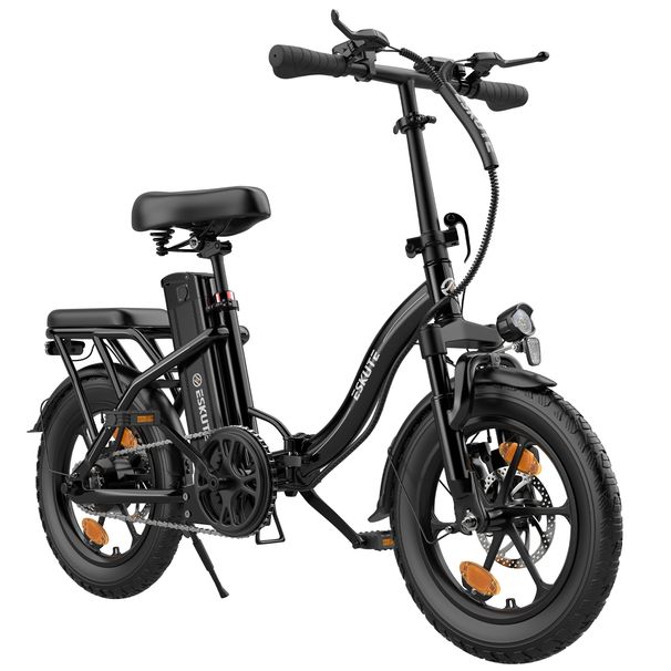 ESKUTE D100 Folding Electric Bike 16Inch With Detachable 36V 13Ah Battery_voghion.com