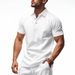 25 Summer Men's New Linen Solid Color Loose Simple Turn-Down Collar Outdoor Casual Polo Shirt For Men_voghion.com