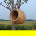 Bird Bird's Straw Eaves Outdoor Winter Warm Indoor Sleeping Hanging Swallow Artificial Nest_voghion.com