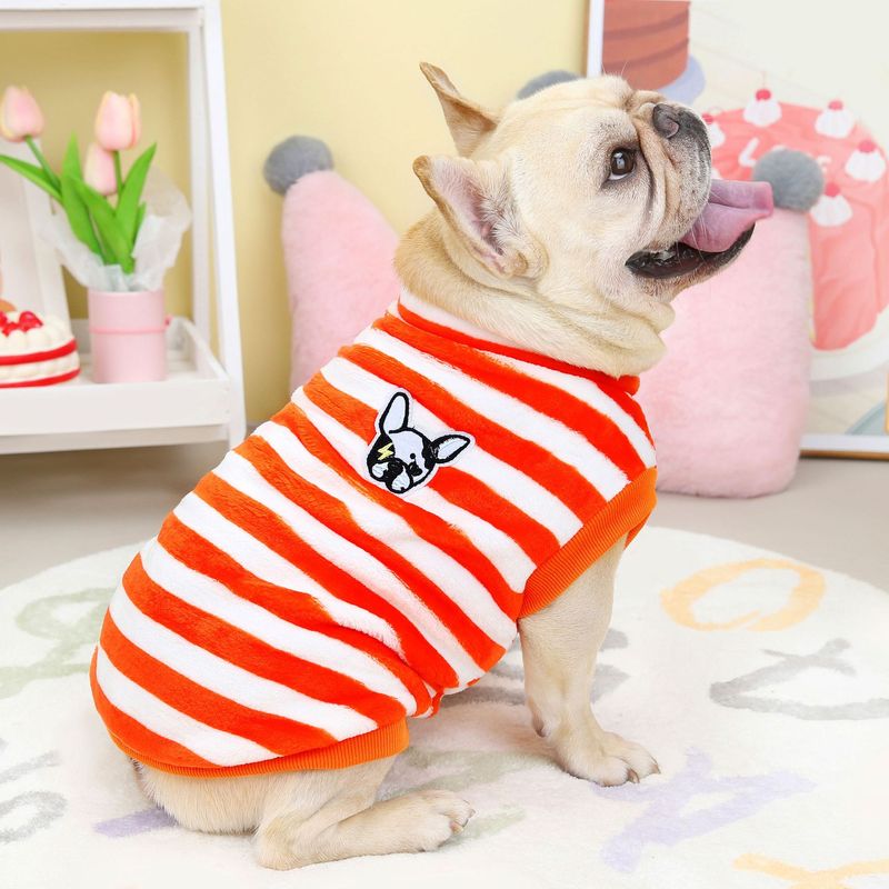 Bouledogue, chien Shapi Bago, vêtements pour animaux de compagnie pour chien automne et hiver, 22 vêtements en velours rayé pour la corrida_voghion.com