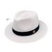 spring and summer new men's top hat Panama straw hat sun protection beach hat women's summer jazz hat trend_voghion.com