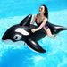 Inflatable Black Dolphin Large Whale Pool Ride-On Toy For Children And Adults Swimming Ring Water Float_voghion.com